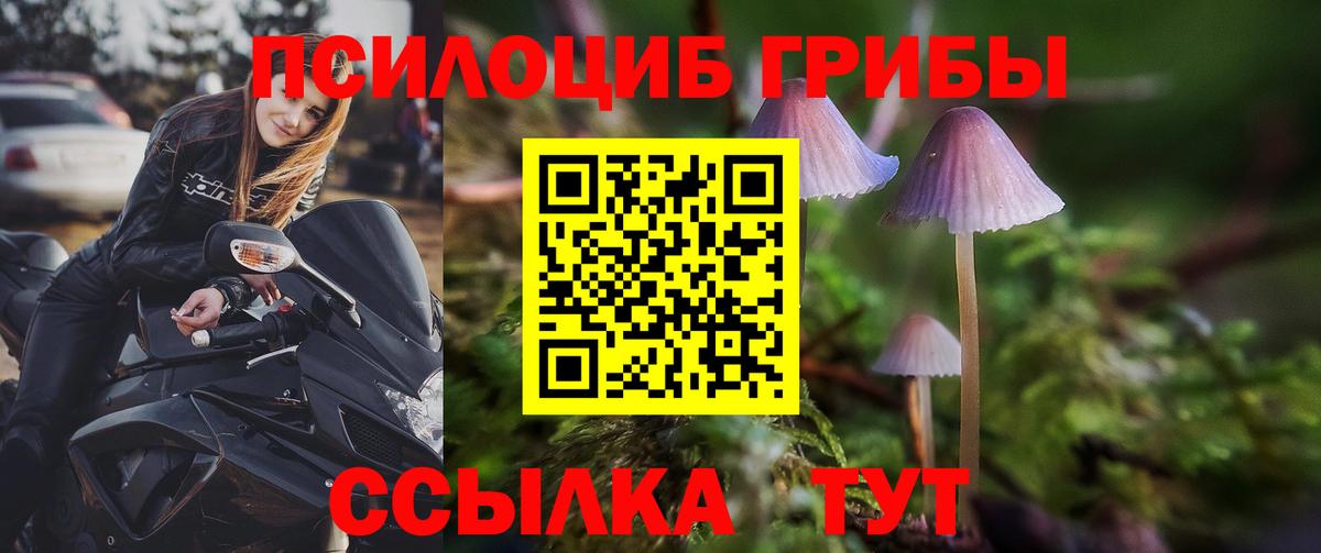 Псилоцибиновые грибы мицелий  Вход с VPN  Луховицы 